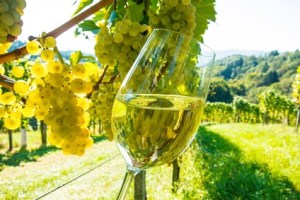 cave-a-vin-mariage-toulouse