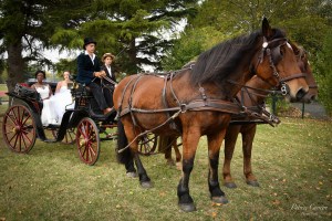 mariage-toulouse-cheval-en-rennes-promenade