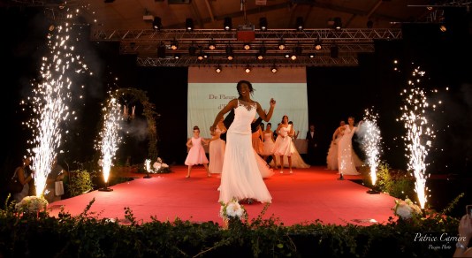 robe-de-mariee-defile-mariage-salon-du-mariage-toulouse