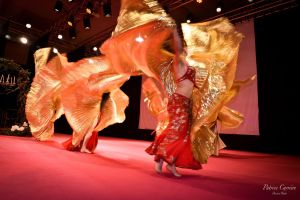 salon-du-mariage-soiree-vip-animation-transe-en-danse-bollywood-oriental