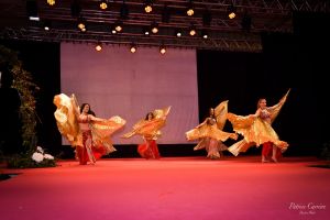 salon-du-mariage-soiree-vip-animation-transe-en-danse-bollywood-oriental