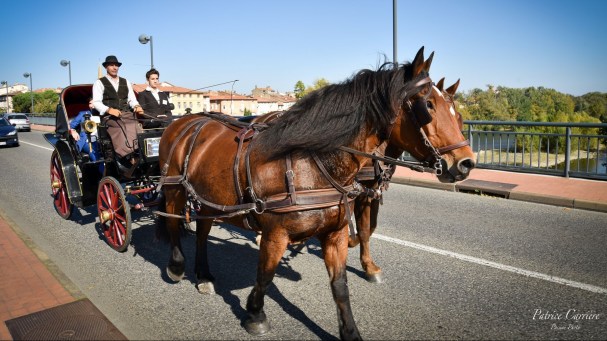 salon-du-mariage-toulouse-muret-midi-pyrenees