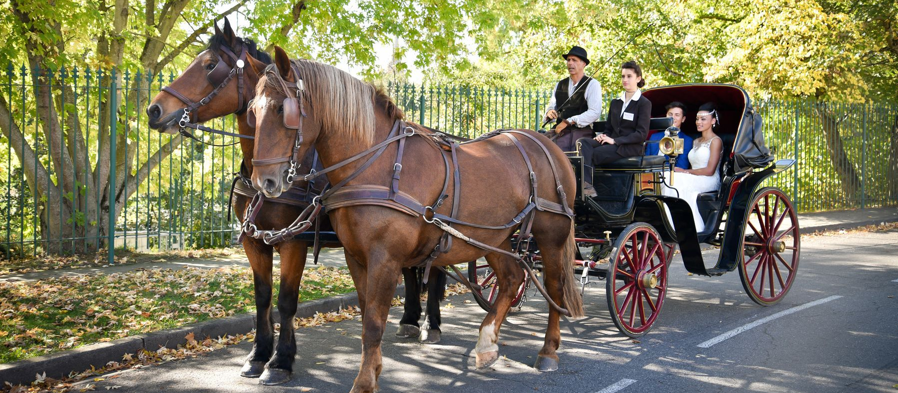 La Calèche, un mode de transport écolo et royal pour votre mariage !