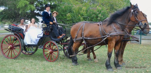 salon-du-mariage-toulouse-muret-midi-pyrenees