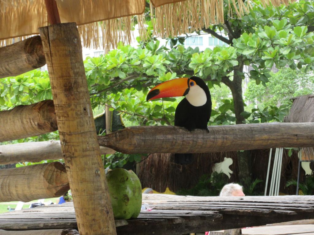 voyage-de-noces-rio-de-janeiro-bresil-mariage-toulouse