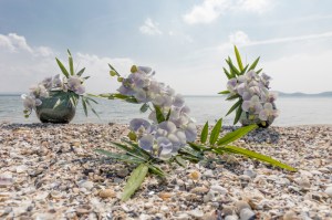 salon-alliance-mariage-pacs-muret-toulouse-midi-pyrenees