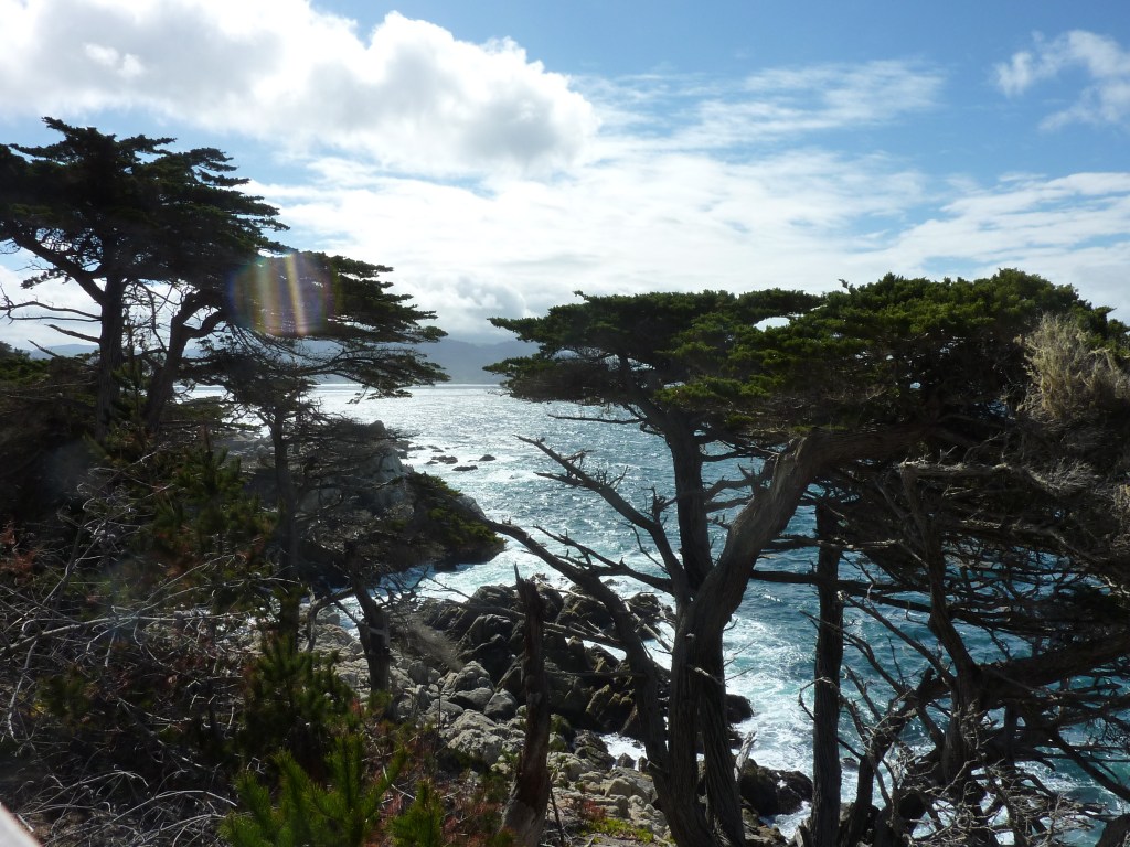 salon-du-mariage-toulouse-muret-midi-pyrenees