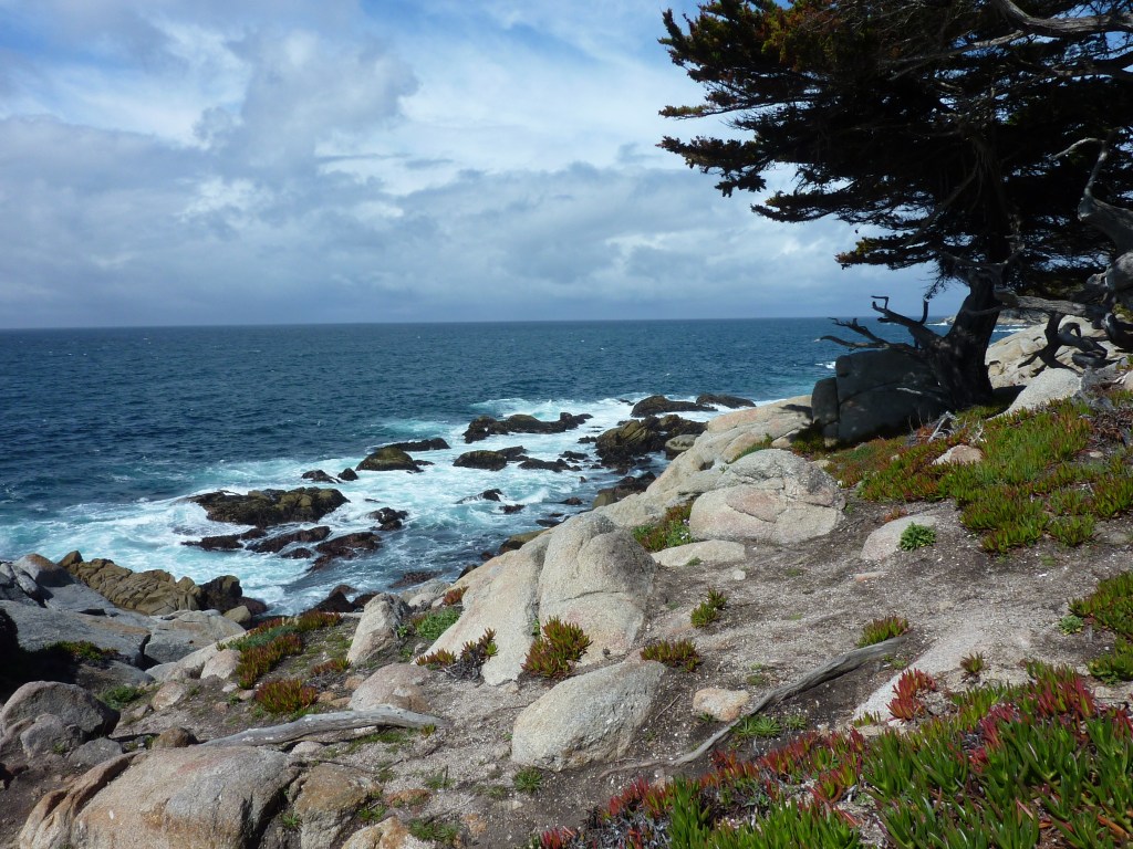 salon-du-mariage-toulouse-muret-midi-pyrenees