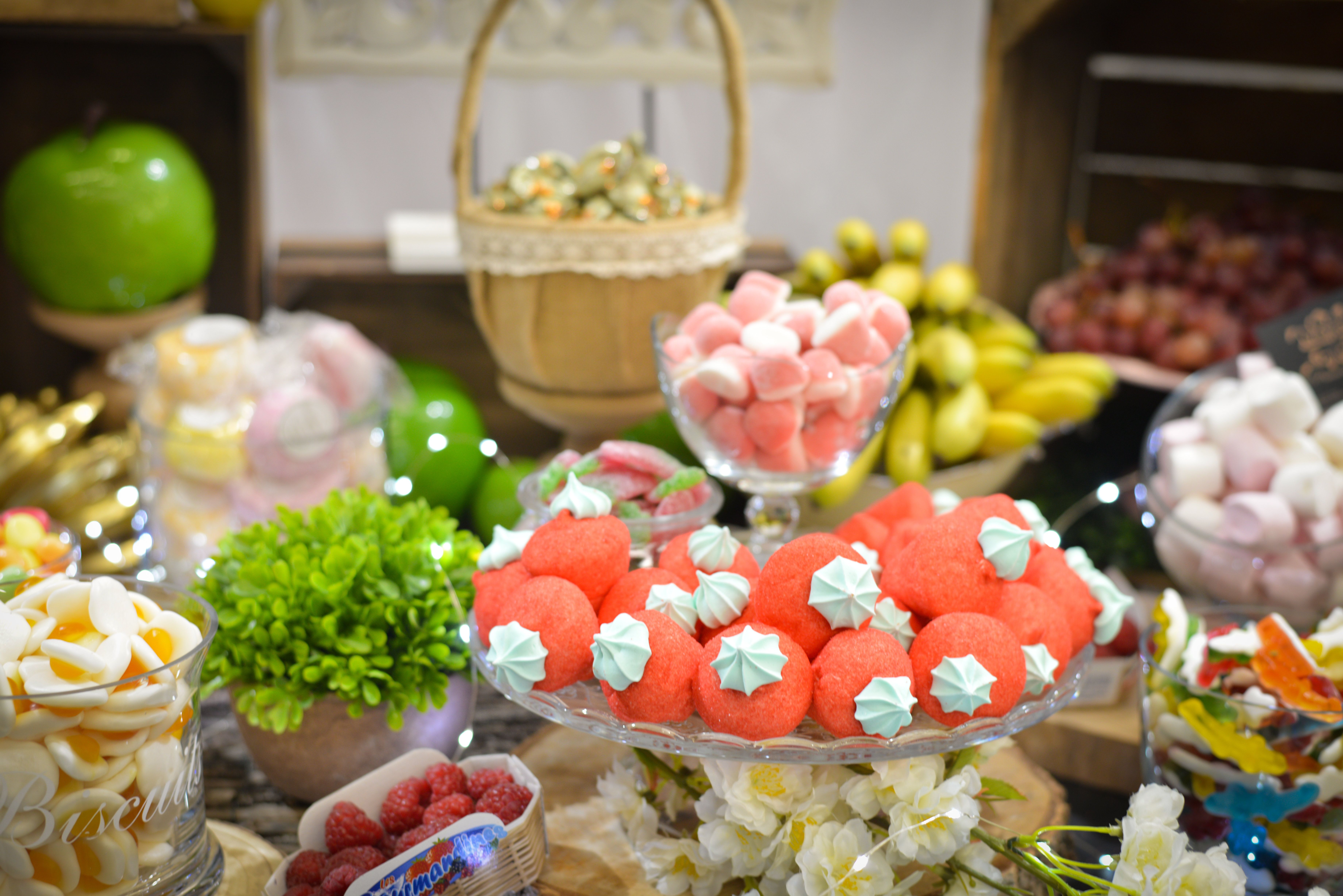 mariage-pacs-reception-occitanie-toulouse-2023