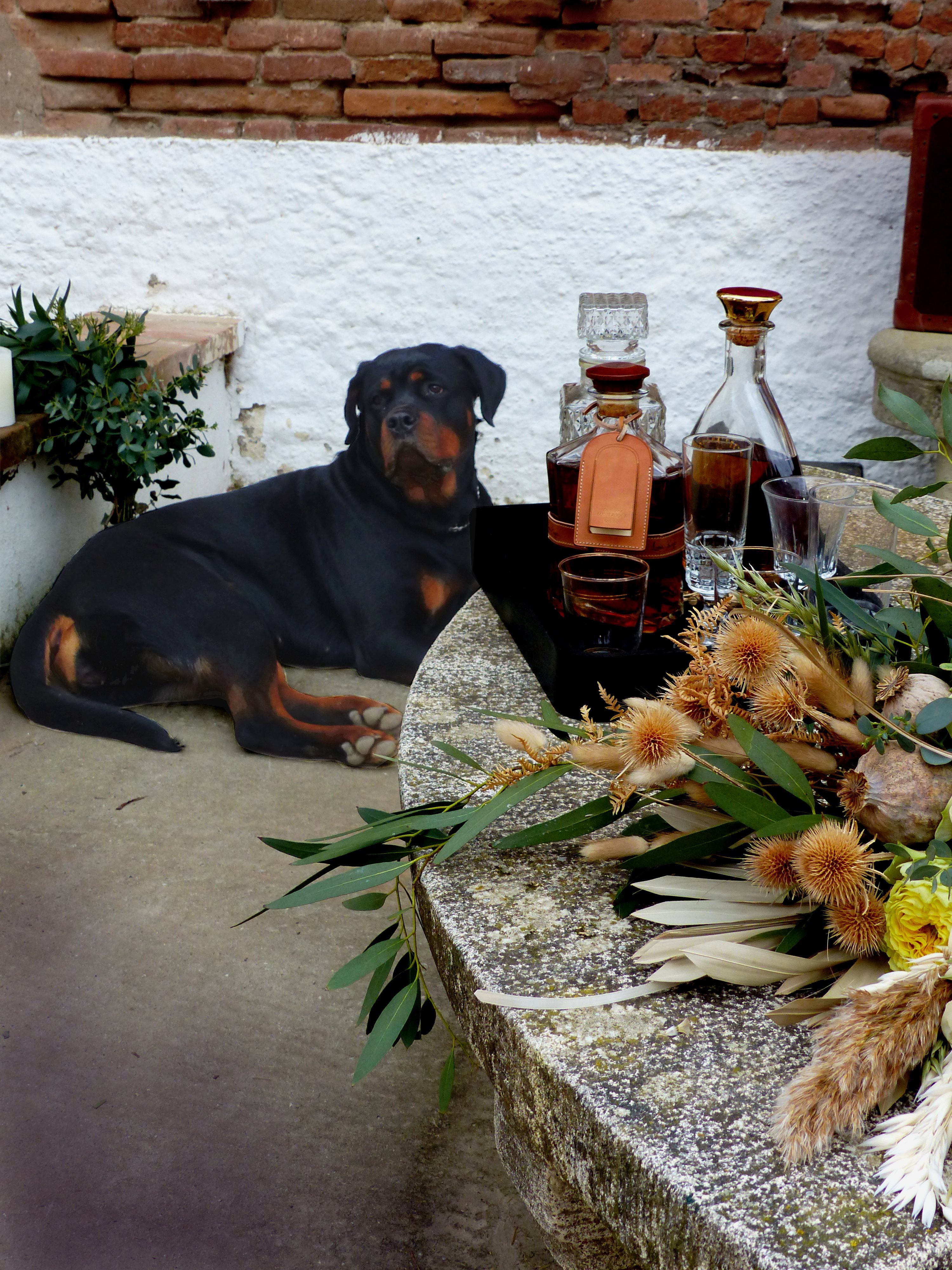 inspiration-mariage-peaky-blinders-toulouse