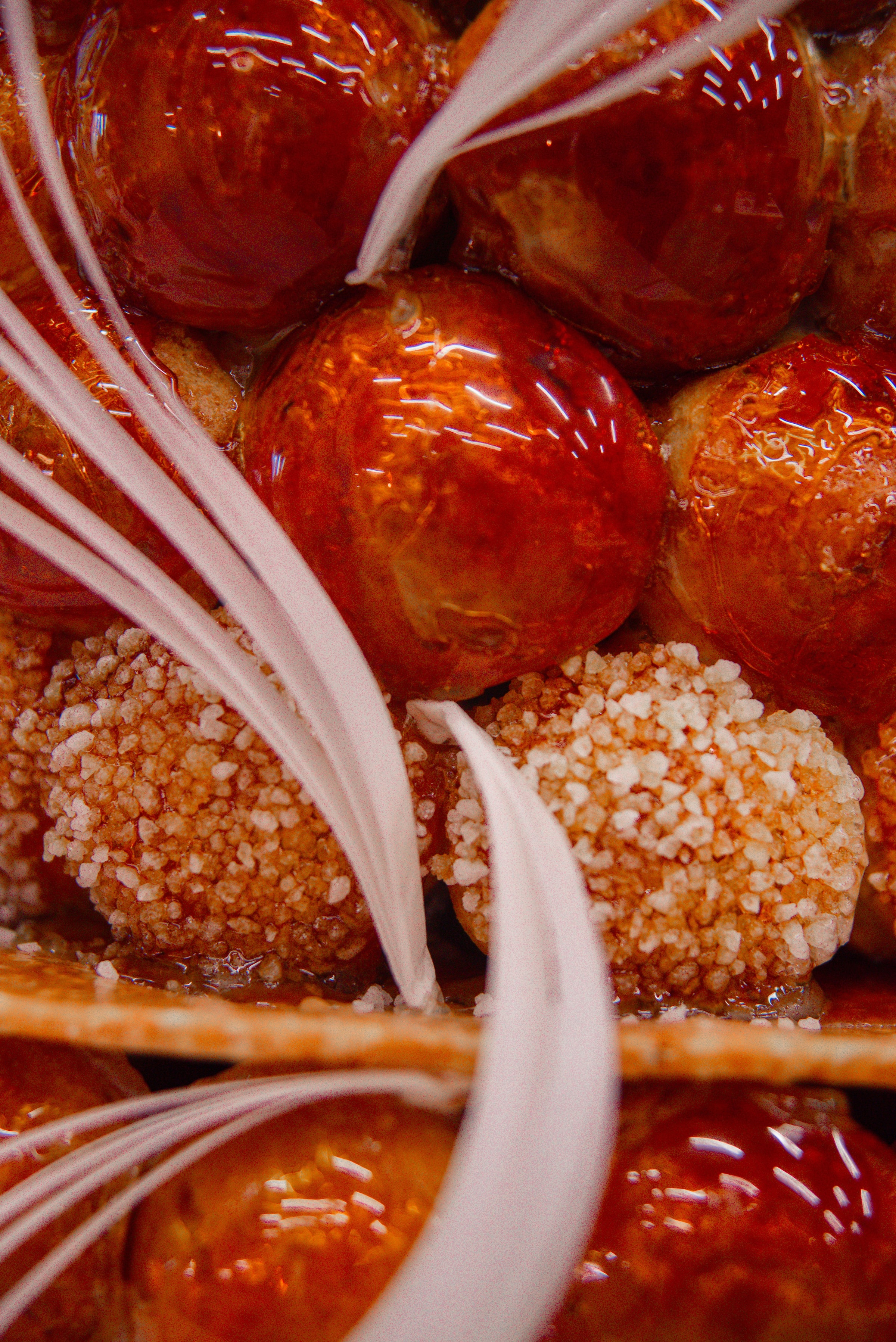 salon-alliance-mariage-pacs-occitanie-toulouse-muret