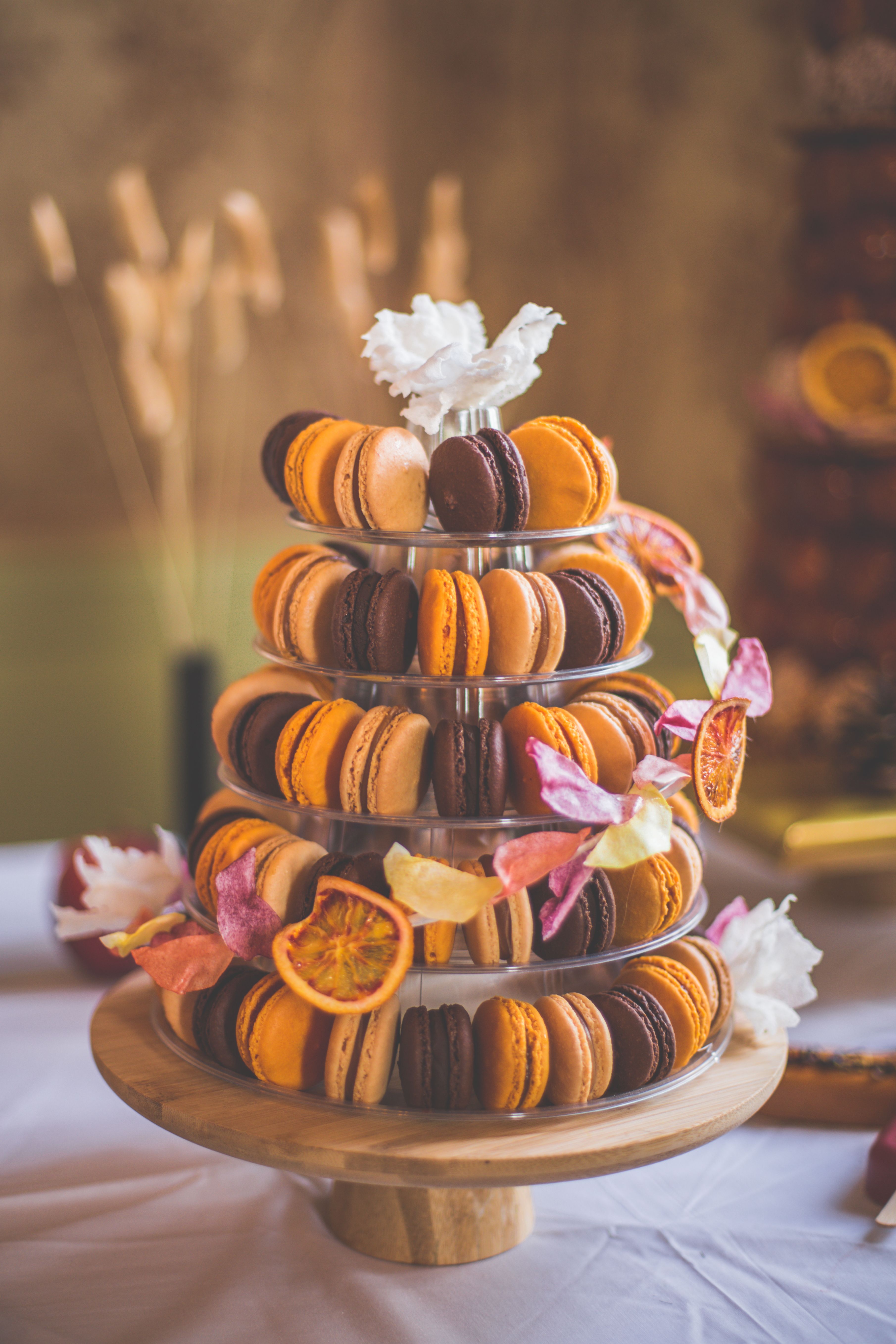 salon-alliance-mariage-pacs-occitanie-toulouse-muret