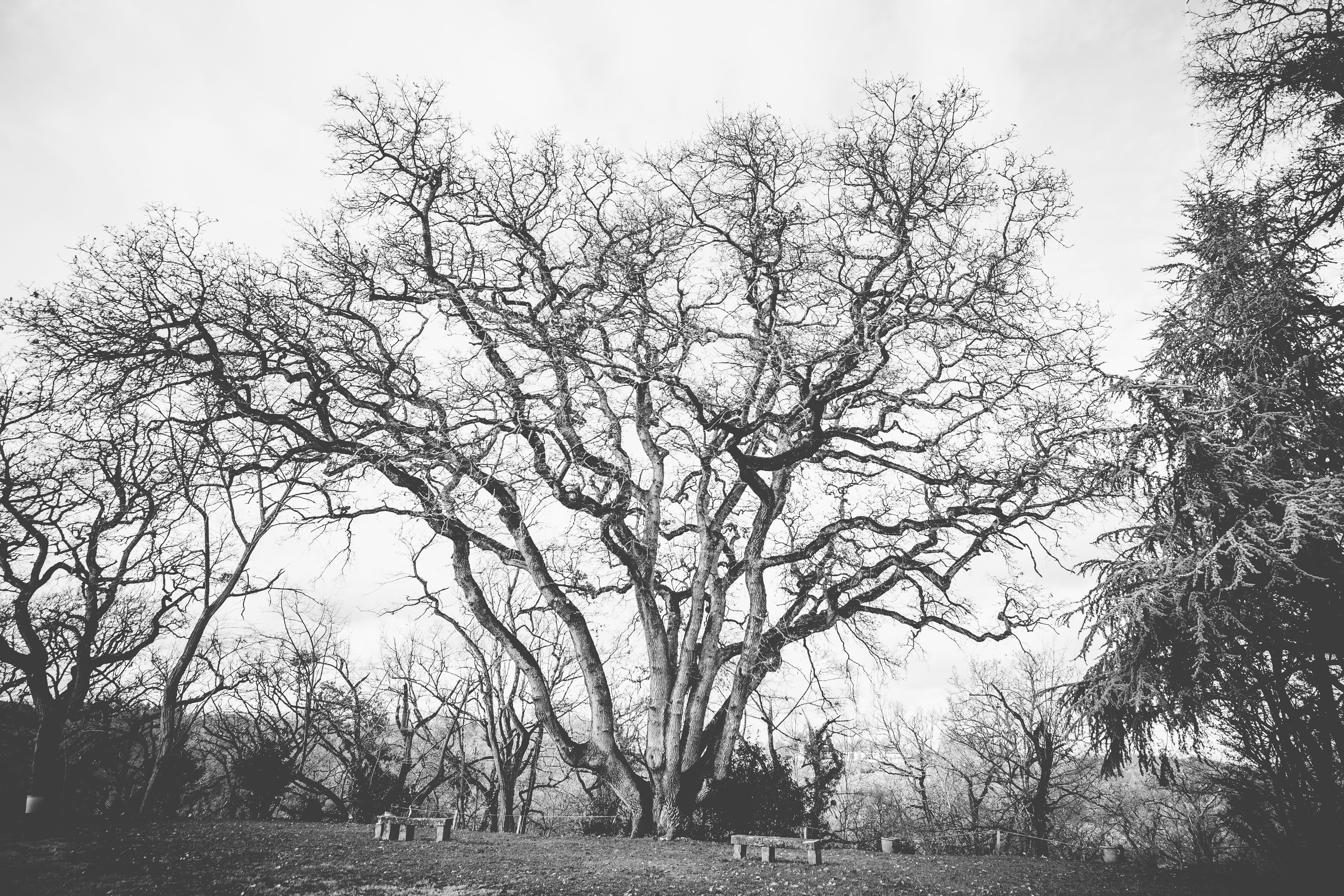 salon-alliance-mariage-pacs-occitanie-toulouse-muret