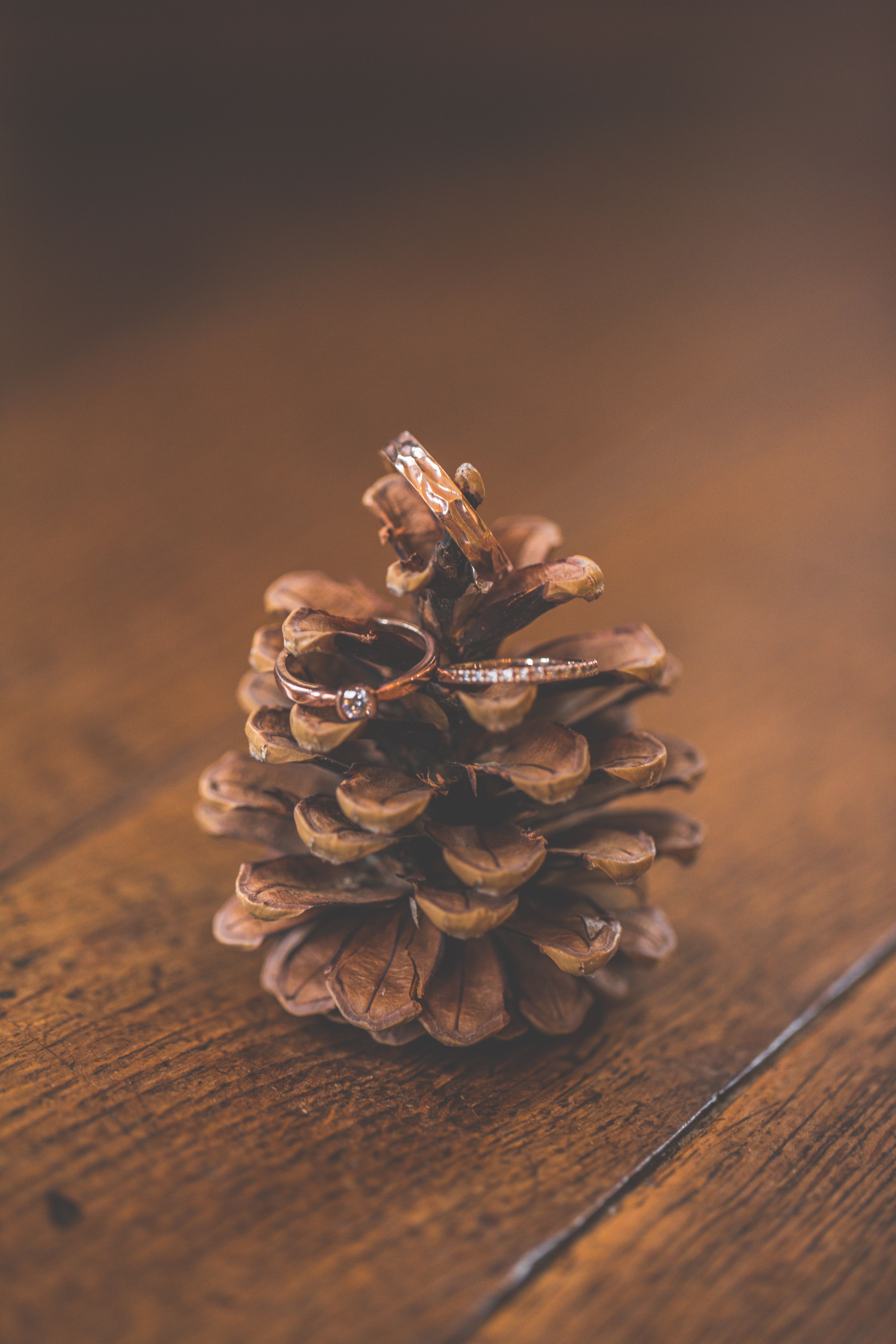 salon-alliance-mariage-pacs-occitanie-toulouse-muret