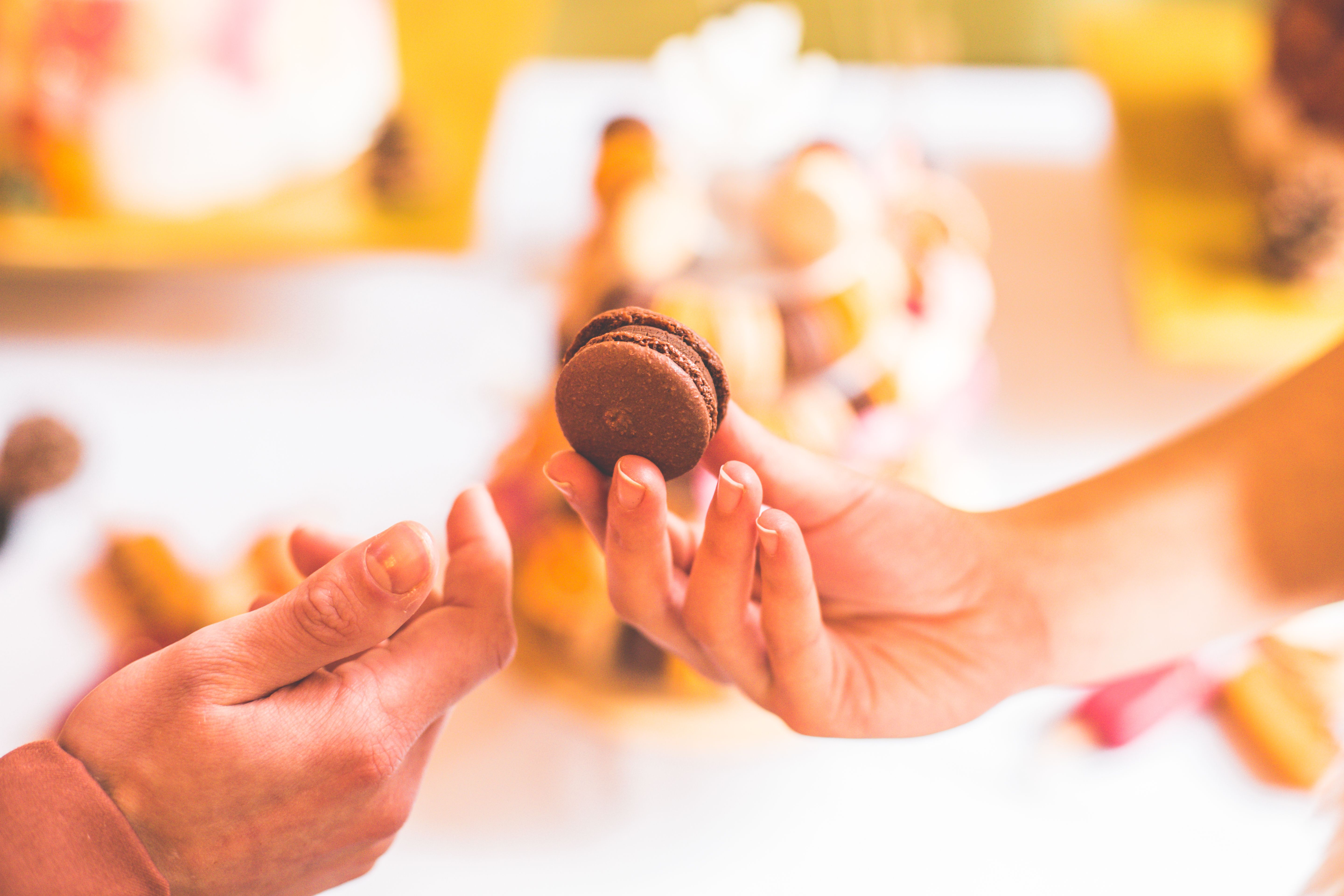 salon-alliance-mariage-pacs-occitanie-toulouse-muret